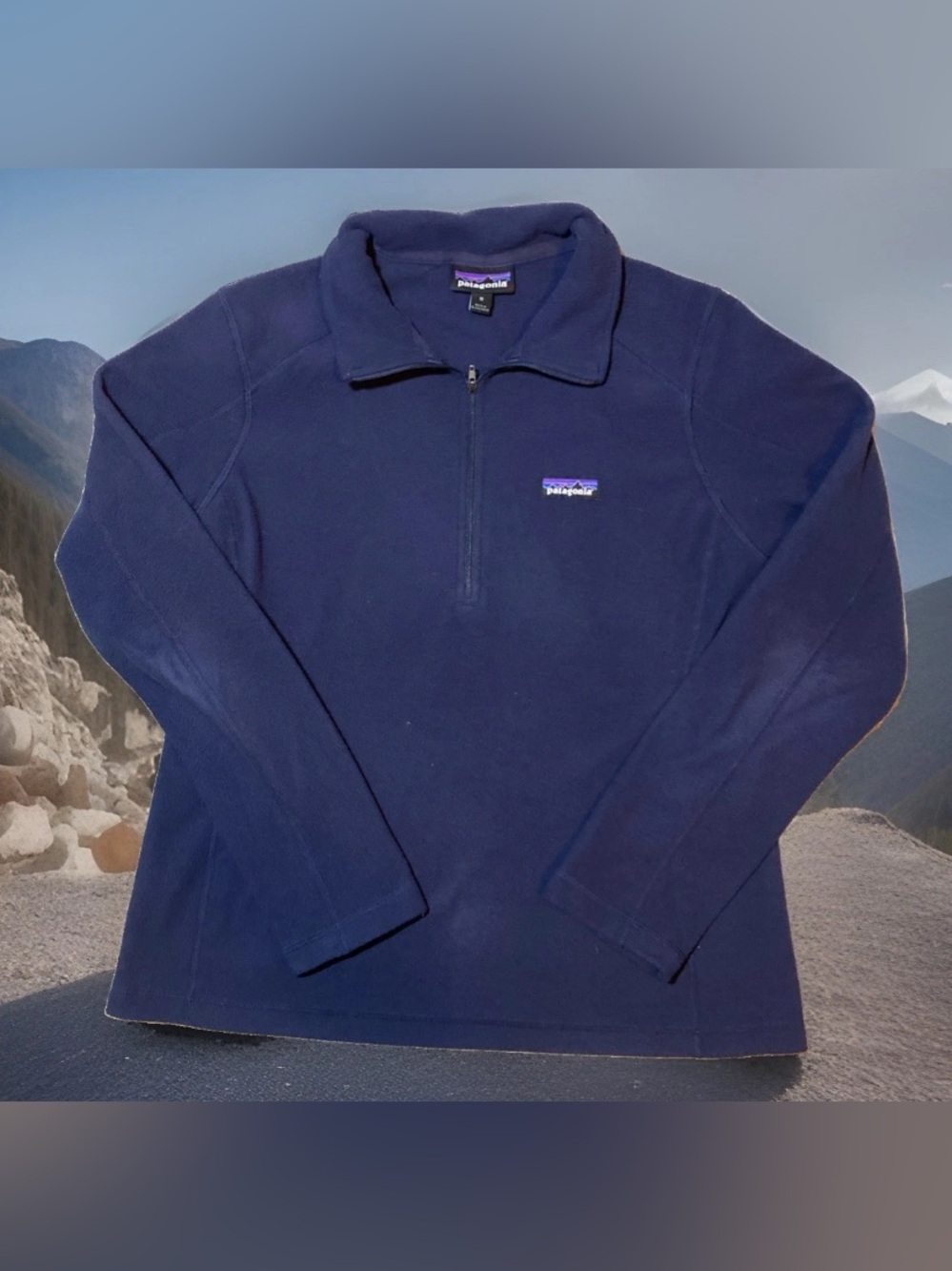 Patagonia Womens Blue Micro D 1/4 Zip Pullover Sweatshirt Size M Outdoors